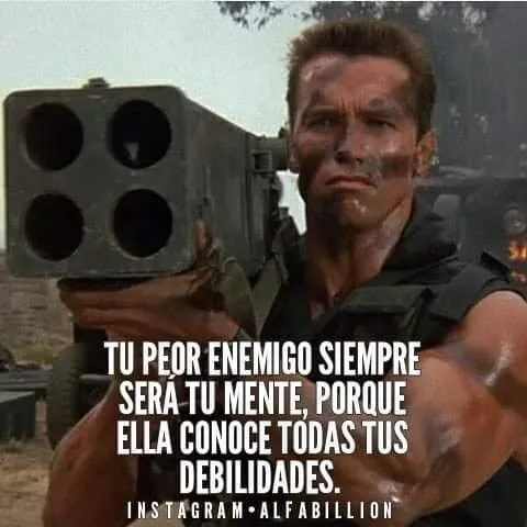 Se ve a Arnold Schwarzenegger apuntando con un lanzacohetes. Lleva un chaleco antibalas y una cara de pocos amigos. Está en una selva o en un lugar con mucha vegetación.